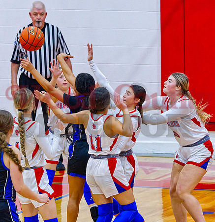 _B223819 lady panthers swarm