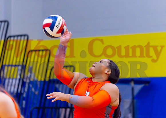 _9060511 Trinadee Jackson serves