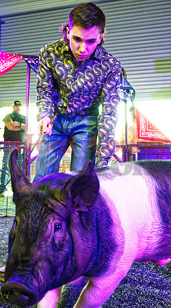 _1124592 Brody Busby sells hog