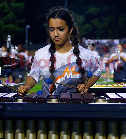 _1259023 marimba