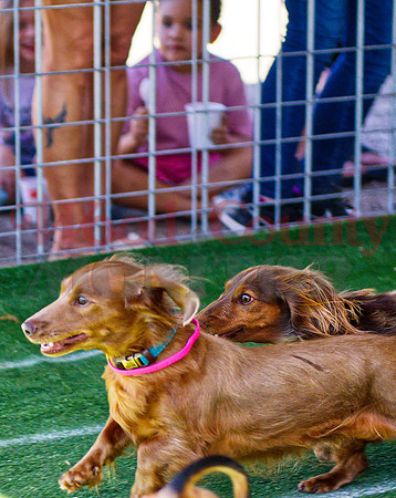 _1332942 competitive