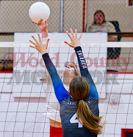 _9170048 Lainey Teel hits