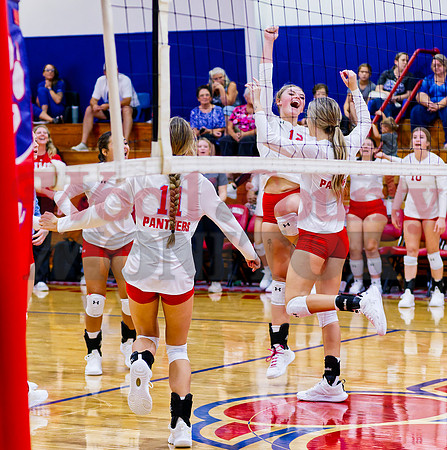 _1321068 lady panther celebrate point