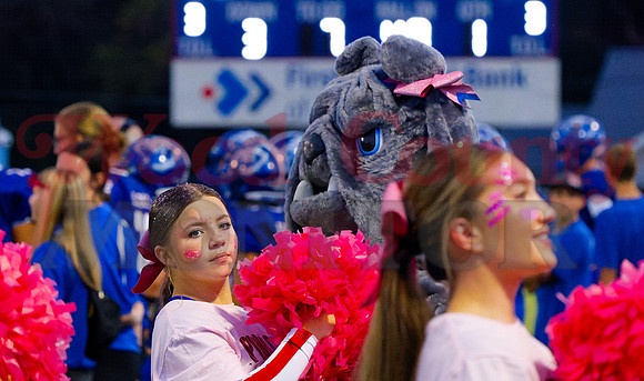 _A040499 cheer