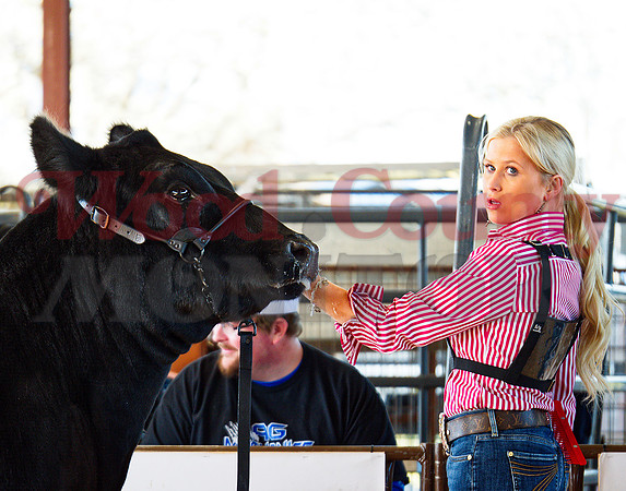 _1248898 Kenley Carr shows grand champ heifer