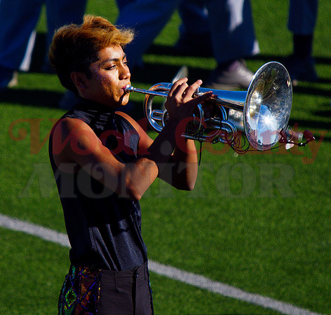 _A160693 fluglehorn solo