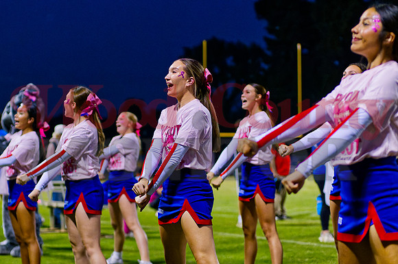 _1343639 bulldog cheer