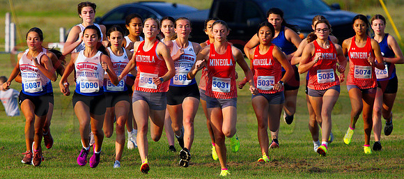 _9141419 quitman and mineola start